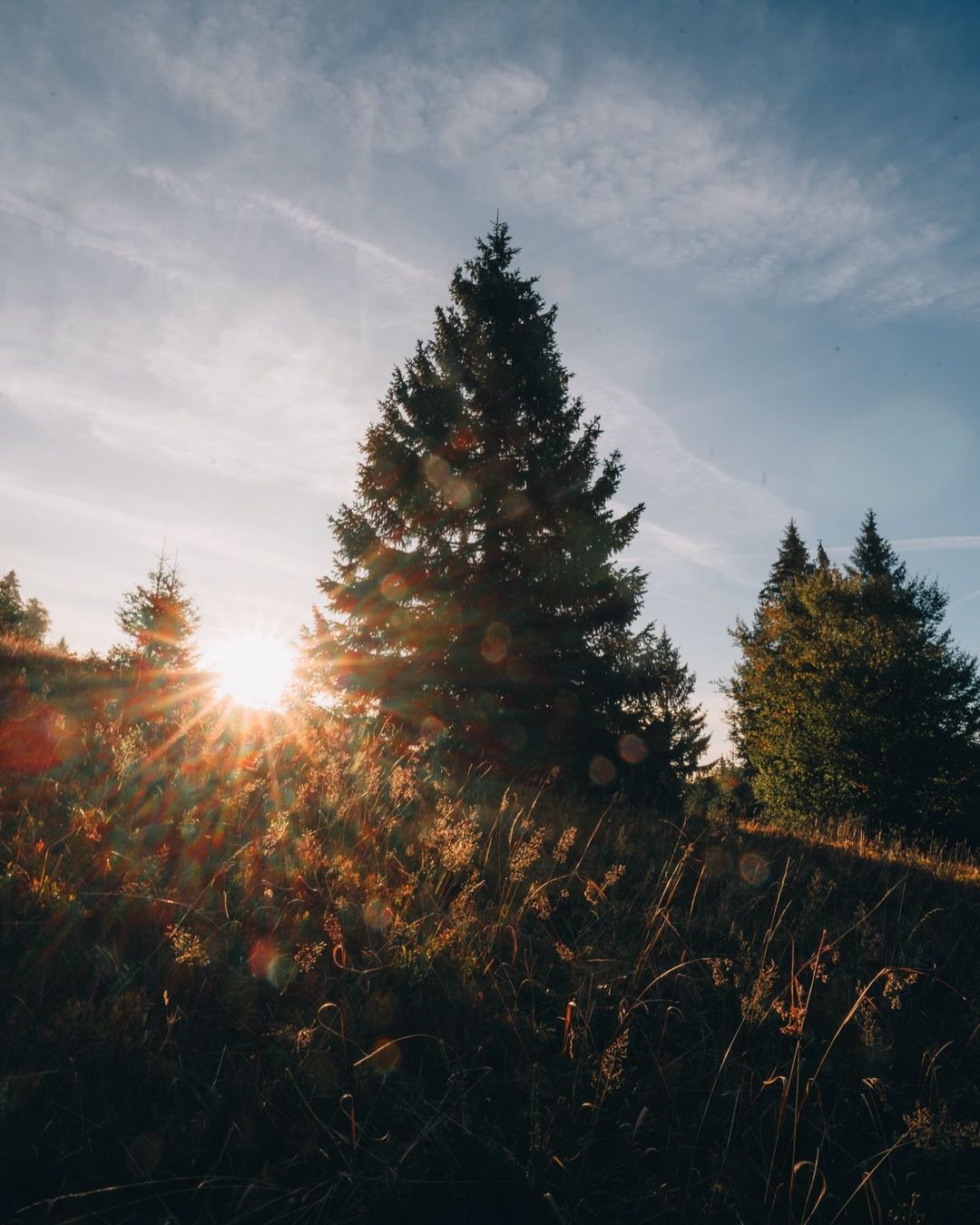 口コミ投稿：Early morning in the Black Forest! 🤩....#blackforest #schwarzwald #blackforestc…