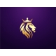 Lion Fashion